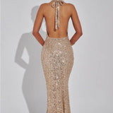 Stellara | Maxi Robe
